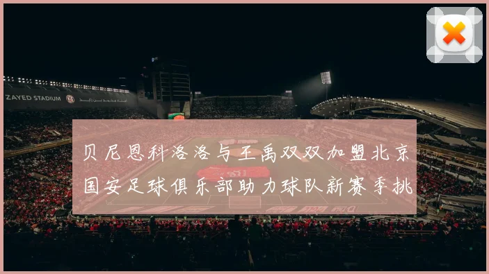 贝尼恩科洛洛与王禹双双加盟北京国安足球俱乐部助力球队新赛季挑战