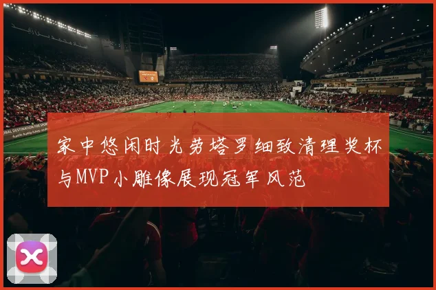 家中悠闲时光劳塔罗细致清理奖杯与MVP小雕像展现冠军风范